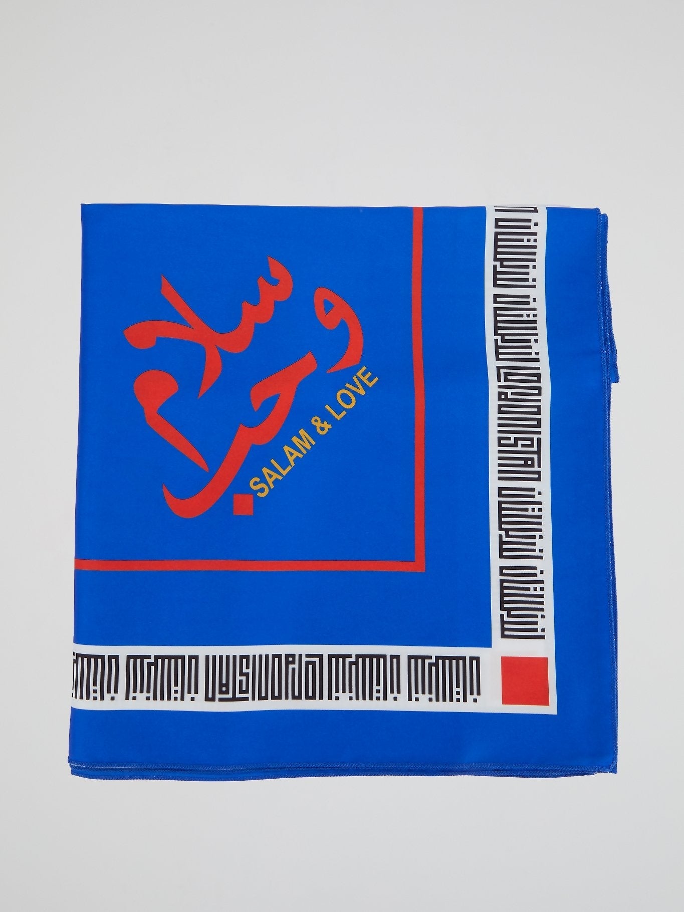 Blue Logo Trim Scarf